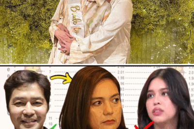 Sylvia Sanchez SHOCKS Fans: Prefers Zanjoe Marudo Over Maine Mendoza—Is There More Behind the Controversial Statement?