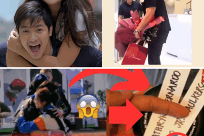 Alden Explodes in Emotion After Missing Kathryn! Shocking Revelations About Their Past Love Team – Why Kathryn and James Won’t Be A Love Team After All!
