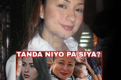 KILALANG AKTRES NA MINAHAL NG SAMBAYANAN, NGAYON ISANG ‘BABY SITTER’ NA LANG SA AMERIKA! Ano ang Nangyari sa Kanyang Paglisan mula sa Pilipinas at Showbiz? Ang Kwento ng Pagbangon at Paghahanap ng Pag-ibig!