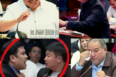 Nagkainitan sa SENADO! Jinggoy Estrada at Engr. Hernandez NAG-UPAKAN sa Mainit na Hearing — Marcoleta, Discaya, Chiz, PBBM at DUTERTE Lahat NA-GUGULAT sa Mga Matinding Pahayag at Lihim na Nalaman!