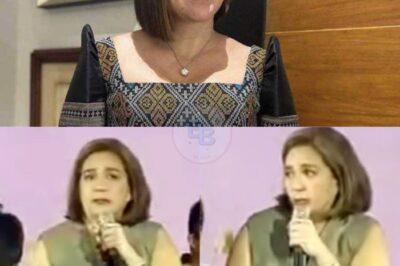 Ito ang luhang hindi naitago! Matapos ang matinding pamba-bash at gitgitan sa pulitika, dumating ang napakatamis na tagumpay para kay Sylvia Sanchez sa MMFF 2025. Nabulabog ang buong event nang maging emosyonal siya habang ipinakikilala ang pelikula niyang “I’m Perfect,” na tumatalakay sa mga taong may Down Syndrome. Bakit daw sila? Ito ang tanong na may kasagutan na bumasag sa kanyang puso. Ang istorya sa likod ng proyektong ito ay puno ng sakripisyo at paglaban. Huwag palampasin ang matindi niyang pahayag at ang mensahe ng mga ‘angels’ na kasama niya. Alamin ang buong detalye na magpapabago sa pananaw mo tungkol sa pag-ibig at pagtanggap! I-click ang link sa comments section para basahin ang kumpletong artikulo.