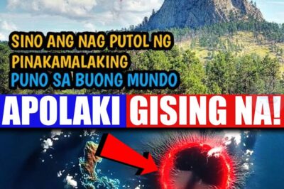 BABALA: Ang pinakamalaking supervolcano sa buong mundo ay posibleng gisingin ng The Big One! Matagal na nating pinangangambahan ang magnitude 9 na lindol mula sa Manila Trench, pero ngayon, may mas malalim at mas nakakakilabot na banta: Ang paggising ng Apolaki Caldera sa ilalim ng Philippine Rise. Sinasabing ang higanteng bulkan na ito, na doble ang laki sa Yellowstone Caldera ng Amerika, ay matagal nang patay. Subalit, ipinapakita ng mga bagong pag-aaral at kasaysayan na ang tindi ng megathrust earthquake ay sapat na para guluhin ang magma system at magdulot ng kalbaryo sa buong mundo! Alamin ang buong mekanismo ng dual-apocalypse na ito at kung gaano ka kahanda sa pinakamalaking sakuna sa kasaysayan ng Pilipinas, basahin ang artikulo!