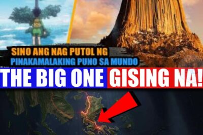 NAKAKAKILABOT na KATOTOHANAN! Palagiang lumilindol sa Pilipinas, at ngayon, ibinunyag na ng mga eksperto ang DAHILAN—at ito ay mas masahol pa sa inaakala mo. Apat na tectonic plates ang sabay-sabay na nagtutulakan sa ilalim ng ating bansa! Hindi lang iyan, nagbabanta rin ang tatlong higanteng trench na kayang mag-isyu ng Magnitude 8 na lindol at tsunami na tatama sa loob lamang ng 10 minuto! Ang The Big One ay hindi lang usap-usapan, kundi isang katotohanang naghihintay. Huwag kang mag-aaksaya ng oras! Alamin ang buong listahan ng mga delikadong fault line sa inyong lugar at ang survival kit na kailangan mo sa aming full article, magbasa ngayon!