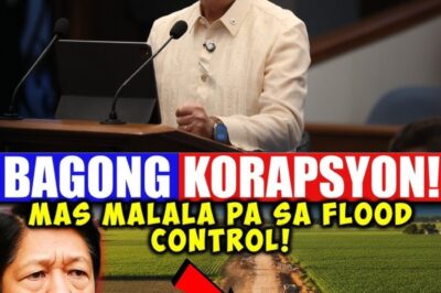 GULAT NA GULAT! Bagong KORAPSYON na Nadiskubre ng mga Senador! HINDI MO KAYANG PAGTIWALAAN! Mas Malala pa sa Flood Control – Tila Isang KALOKOHAN!