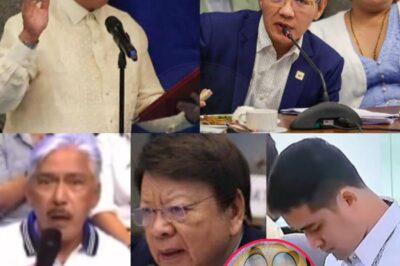 Marcoleta, Pin@hiya ni Tito Sotto Matap0s Tawaging ‘Reypis’ si Vico Sotto! Isang Diplomatiko at Personal na Pag-atake na Nagdulot ng Matinding Alingawngaw sa Buhay Pampulitika – Ano ang mga Lihim na Tension sa Likod ng Labanang Ito, at Paano Nauugnay si Sarah at PBBM sa Tumitinding Kontrobersya?