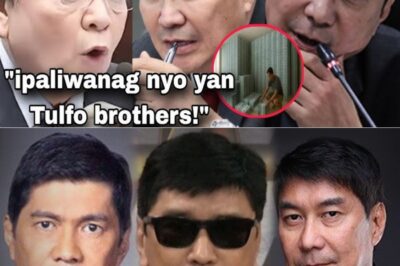 NAKAKALOKANG REBELASYON! Lihim na Dapat Itago Habambuhay, NABUKING! Raffy at Erwin Tulfo, NASANGKOT sa Isang Malupit na Eskandalo na Yayanig sa Buong Bansa—Walang Makapaghahanda sa Katotohanang Lalabas!