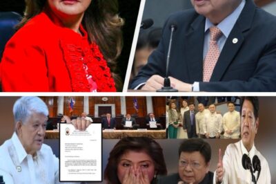 💥KAKASABOG LANG! Matinding Rebelasyon ni Justice Mendoza, BINISTO sina Marcoleta at Imee Marcos — SHOCKING na Katotohanan, Umugong sa Senado, Lahat Nanginig!🔥😱