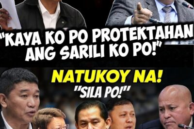 Nakakagulat! Guteza, TINANGGIHAN ang alok na proteksyon mula sa Senado—Ano ang tunay na dahilan ng kanyang desisyon? May mas malalim na plano ba siya o may itinatagong lihim?