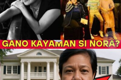 Nabunyag! Ang Lihim na Buhay-Marangya ni Nora Aunor: Fans Nabulaga sa Pagkakaroon Niya ng Bonggang Mansion sa Bicol, Malalawak na Lupain, at Yaman na Itinago sa Lihim na Bóveda!