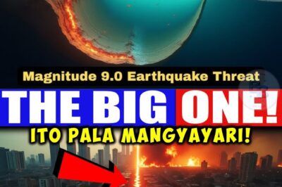 Handa ka na bang harapin ang katotohanang mas matindi pa sa pelikula? Sa ilalim ng maingay na Metro Manila, nakatago ang isang 100-kilometrong tikatik na bomba—ang West Valley Fault! Ayon sa mga eksperto, pasok na tayo sa window ng pinakamalaking lindol na magpapabagsak sa 40% ng ating mga istruktura, magdudulot ng ₱2.5 Trillion na pinsala, at magpapahinto sa buhay ng bansa. Ang pinakamasakit: sa unang 72 oras, mag-isa ka! Walang darating na tulong dahil guguho ang mga tulay at masisira ang lahat ng daanan. Ito na ang huling babala! Kailangan nating kumilos ngayon, hindi bukas! Alamin ang kritikal na impormasyon para makaligtas ka at ang iyong pamilya sa unang tatlong araw ng kaguluhan. I-click ang link sa comments section at simulang maghanda!
