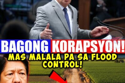 Hindi na lang ito simpleng overpricing, ito ay tahasang PANDARAYA na sumira sa pangarap ng bawat Pilipino! Nabulgar sa Senado ang isang eskandalo ng ‘Farm-to-Pocket Roads’ kung saan ang pondo para sa ating mga magsasaka ay napunta lang sa bulsa ng mga tiwali. Isipin mo: ₱6.3 BILYON ang nawala sa loob lang ng dalawang taon—halagang kayang magpatayo ng kalsadang mag-uugnay sa Maynila at Aparri! Ang sistemang dapat naglilingkod sa atin, ngayon ang lumalamon sa ating kinabukasan. Ang sakit na nararamdaman ng bansa ay hindi na matatago. Huwag magbulag-bulagan, alamin ang buong detalye kung paanong sinira ang kaban ng bayan at kung sino ang mga makapangyarihang nagtatago. Tiyaking mababasa mo ang lahat ng ebidensya sa comments section ngayon!