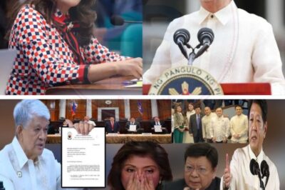 Ang buong Senado ay nahulog sa katahimikan nang ibinulgar ni Justice Mendoza ang nakakagulat na rebelasyon laban kina Marcoleta at Imee Marcos! Ang kanyang matinding pahayag ay nagpakita ng mga lihim na matagal nang tinatago. Ano ang tunay na nangyari? Alamin ang buong detalye sa ngayon!