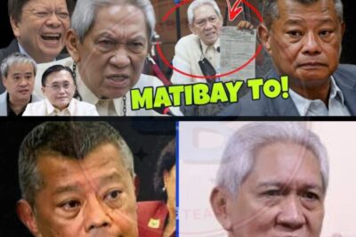 NABUNYAG NA ANG LIHIM NG KAPANGYARIHAN! Former Ombudsman, MATINDI ANG PASABOG