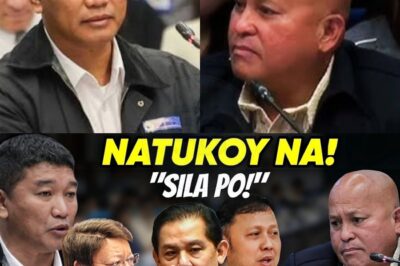 Isang Desisyon na Nagbigay ng Laking Pagkalito: Bakit Hindi Tinanggap ni Guteza ang Alok ng Proteksyon mula sa Senado? Ano ang Nasa Likod ng Kanyang Misteryosong Pagpili na Puwedeng Magbukas ng Mas Malalim na Usapin?