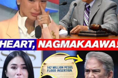 Heart Evangelista, Nagmamakaawa kay Tito Sotto! Isang Paghihirap na Tumalon sa ₱142B Flood Project Issue—Ano ang Kanyang Ginagampanang Papel sa Kontrobersyal na Isyu at Bakit Siya Nasa Pusod ng Isang Malaking Skandalo?