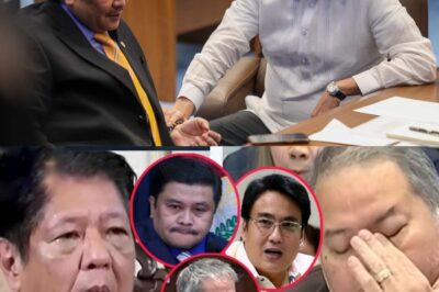Bongbong Marcos, Hindi Nakayanan ang Pagbubunyag ni Engr. Alcantara! Lihim na Pagkakasangkot ng mga Kilalang Politiko—Jinggoy, Bong Revilla, at Joel, Ang Shocking na Revelasyon na Magpapabago sa Buhay ng Bawat Isa!