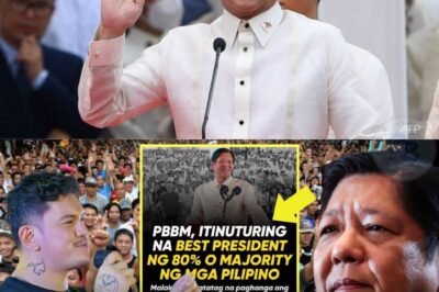 Mayors Ng Davao at Governor sa balwarte ng mga dds, NILUNOK ang pride NAGAPASALAMAT kay PBBM