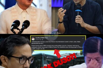 Himalang Transportasyon: Paano Ginulantang ni PBBM ang Davao sa Modernong Electric Bus System at Pagtatayo ng Driving Academy?