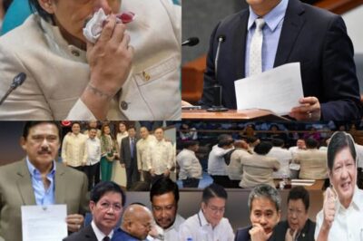 Shocking Power Move! PBBM Suddenly Expels Escudero, Padilla, and Villanueva in a Fierce Political Purge—The Entire Senate is Stunned, the Filipino Public is Speechless, and Everyone is Asking: What’s Really Happening Behind the Scenes, and What Are the Hidden Motives Behind This Sudden Action?