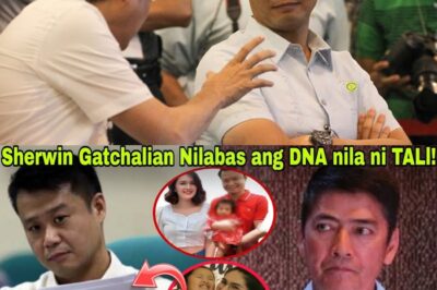 HINDI NA MABABALIKAN ANG NAKARAAN: Senador Sherwin Gatchalian, Emosyonal na Ipinakita ang D.N..A Te$t at Kumpirmado—Siya nga ang Tunay na Ama ni Tali! Ano ang Mga Emosyon at Lihim na Kwento sa Likod ng Matinding Pagbubunyag na Ito, at Paano Naaapektuhan ang Buhay ng Bawat Isa sa Pamilya at Publiko?
