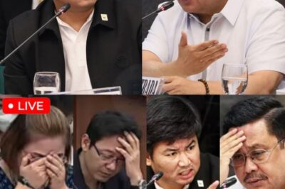 Nag-iyakan sa SENADO Matapos ang SHOCKING NA PAGBUBULGAR ni Jinggoy Estrada at Engr. Hernandez! PBBM, DUTERTE, at CHIZ HINDI MAKAPANIWALA sa mga Nakakagimbal na Pagbubukas ng mga Lihim!