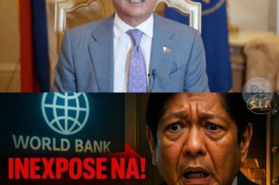 Mula sa Inutang Hanggang sa Inuutangan: Ang Pilipinas na Noon ay Nanghihiram, Ngayon ay Pinagkakautangan ng Mundo?! 😱💰 Paano Naging ‘Economic Miracle’ ang Bansa sa Ilalim ni Bongbong Marcos Jr.? Ang Lihim na Hindi Ibinunyag sa Publiko!”