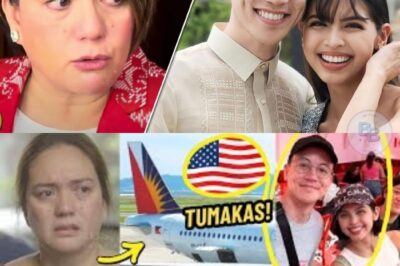 Isang Ina, Isang Artista, at Isang Lihim na Bumubulabog: Sylvia Sanchez Tuluyang Nagsalita! Sa Gitna ng Milyong Pisong Isyu at Pag-alis ng Buong Pamilya, May Isang Katotohanang Kay Tagal Nilang Itinago—At Ngayon Lamang Ibubunyag!