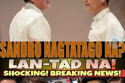 THE MAN BEHIND THE VIRAL SONG: What Really Happened When Chavit Started Singing