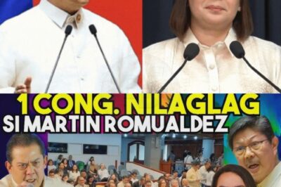 Kaguluhan sa Senado: Bakit nagbanggaan nang matindi sina Speaker Romualdez at VP Sara Duterte sa harap ng sambayanang Pilipino? Isang live hearing na nauwi sa sigawan, pagputol ng mikropono, at mga lihim na tinatago ng gobyerno — malalantad na ba ang katotohanan?
