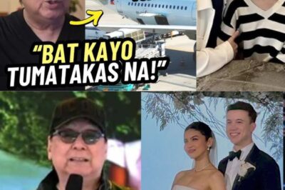BOMGANG GALIT! Joey de Leon Walang Iniiwan! Inihagis na Banat kay Arjo Atayde Habang Maine Mendoza Pinaniniwalaang Tumakas na sa Amerika Dahil sa Lakas ng Alingawngaw ng Isyung Ito!