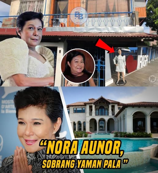 REVEALED Nora Aunor’s Hidden Fortune SHOCKS the Nation Millions in