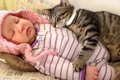 Pinayagan ng ina ang pusa na matulog katabi ng kanyang sanggol sa loob ng isang buwan — ngunit ang kanyang natuklasan pagkatapos ay tuluyang nagpatigil sa kanya!