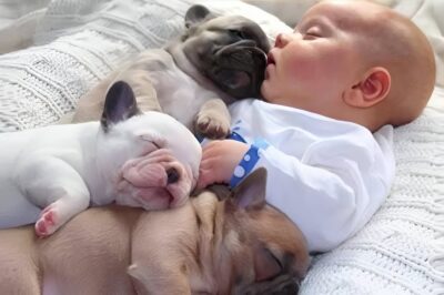 Natutulog ang baby na ito gabi-gabi kasama ang tatlong aso sa iisang kama — ngunit nang pumasok ang mga magulang sa nursery kinabukasan, hindi nila mapaniwalaan ang kanilang mga mata.