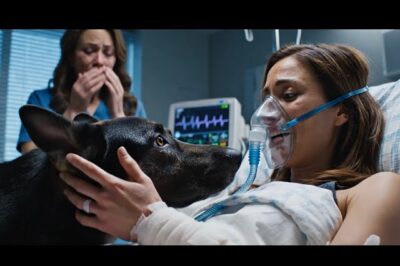 Isang doktora ang gustong patayin ang malubhang nasugatang pulis — pero binago ng kanyang aso ang lahat.