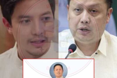 “MAY ARAW KA DIN!” Alden Richards Laban kay Zaldy Co: P35 Bilyon Na Pondo para sa Proyektong Pagtanggal ng Baha sa Bulacan, Pero Ghost Projects Lamang?