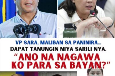The Mirror Test: Presidential Palace Unleashes a Shocking, Humiliating Challenge to Vice President Sara Duterte, Publicly Casting Doubt on Her Entire Record of Service to the Nation as a Bitter Feud Spirals Into the Open!