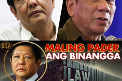 Akala ng Lahat Si PBBM Lang ang Tinutuligsa ng PDP-Laban—Ngunit Sa Likod ng Mga Ngiti at Kamay na Nagkakamayan, May Mas Malalim at Nakakagulat na Banggaan na Nagaganap! Sino nga Ba Talaga ang Tunay na Tinutumbok ng Partido? Rebelasyon na Magpapaalog sa Mundo ng Politika at Magbubunyag ng Mga Lihim sa Likod ng Palasyo!