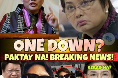 Ang Lihim sa Likod ng Kapangyarihan: Rebelasyon ni Rowena Guanzon na yumanig sa buong bansa