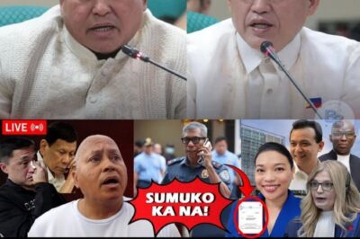 BATO DELA ROSA AT BONG GO, TINAMAAN NG BIGLAANG ICC WARRANT OF ARREST! ANO ANG NANGYAYARI SA LIKOD NG MGA PINTO NG MALACAÑANG?