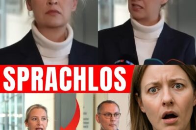 LIVE: Selbst Reporter sprachlos, als Alice Weidel das Unfassbare sagt!