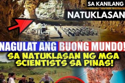 ANG TUKLAS NA NAGPAGULAT SA BUONG MUNDO! Sa pusod ng Kalinga, natagpuan ang 709,000-taong bakas ng sinaunang pamumuhay—hiwang buto, kasangkapang bato, at kwentong kaytagal inilihim ng lupa. Binabago nito ang kuwento ng Asya: Pilipinas, hindi gilid—sentro! Sino ang unang naglakad dito bago pa maisulat ang “history”?