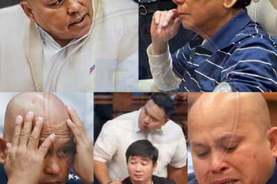 BATO DELA ROSA, NABIGLA! Hindi Kinaya ng Dating Pulis ang Pagbubunyag ni Engr. Hernandez: Mga Dangal at Itinatagong Sekreto ng Mga Kilalang Politiko, Mula kay Sarah Discaya, PBBM, Marcoleta, Jinggoy, hanggang Bong Revilla—Isang Shocking na Revelasyon na Umantig sa Puso at Nagpabago ng Lahat sa Senado!