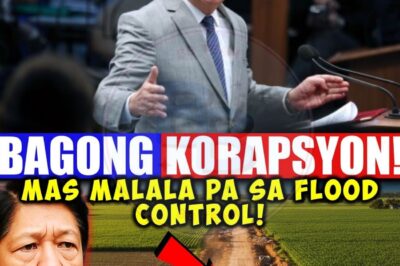 Bagong Korapsyon Natuklasan ng Mga Senador! Mas Malala pa Sa Flood Control – Ano ang mga DETALYENG hindi pa nailabas sa publiko?