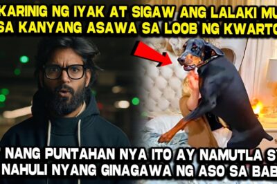 Hindi Nilulubayan ng Aso ang Amo nyang Babae, Hanggang sa…
