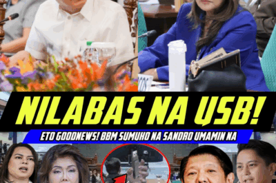 Imee, HAWAK ANG USB NA MAGBABAGO NG LAHAT! SUMUKO NA SI BBM, SANDRO, KAKASA SA DR*G TEST?❗ Bakit nga ba naging kontrobersyal ang mga pangyayaring ito?