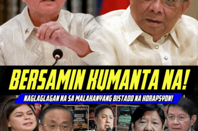 Lucas Bersamin, BUMALIGTAD NA—NAGLAGLAGAN NA SA PALASYO! BBM, LACSON, RECTO, BISTADO!❗ Bakit nga ba nagkagulo sa loob ng Palasyo?