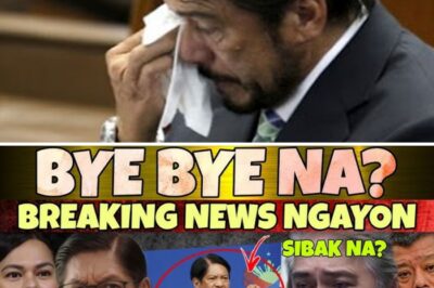 HALA! MATINDI ‘TO! GRABE, KAKAPASOK LANG! NAKAKAKILABOT NA REVELASYON! SI SUT0, NABISTO SA LIVE?! BIGLANG UMAMIN SA HARAP NG LAHAT?! MAY NANGYARING KAHINDI-HINDI NA HINDI NA KAYANG ITAGO! ANO ANG TINATAGO NIYA SA LIKOD NG CAMERA?!