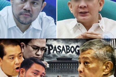 NATULDUKAN!? Romualdez, Escudero at Mark Villar Binuking Ang Mga PAGKAKASANGKOT sa Corruption