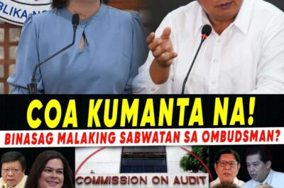 Ang Anatomy ng Isang Politikal na Storm: Nilinaw ng COA ang OVP, Ngunit Ang Pagtutok ng Publiko Ay Lumilipat Sa Ombudsman at Bilyon-bilyong Pondo para sa Pagbaha—Anong mga Lihim ang Nakatago sa Likod ng Kaguluhan, at Sino ang Mananagot?