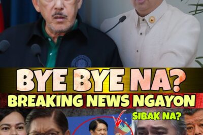 Ang Iskandalo ng Pag-iwas: Ang Tahimik na Kickback sa mga Pondo para sa Pagbaha at ang Nakakagulat na Moralidad sa Likod ng Tulong sa Kalamidad—Sino ang Kumikita mula sa Pagdurusa at Ano ang Itinatago Mula sa Publiko?